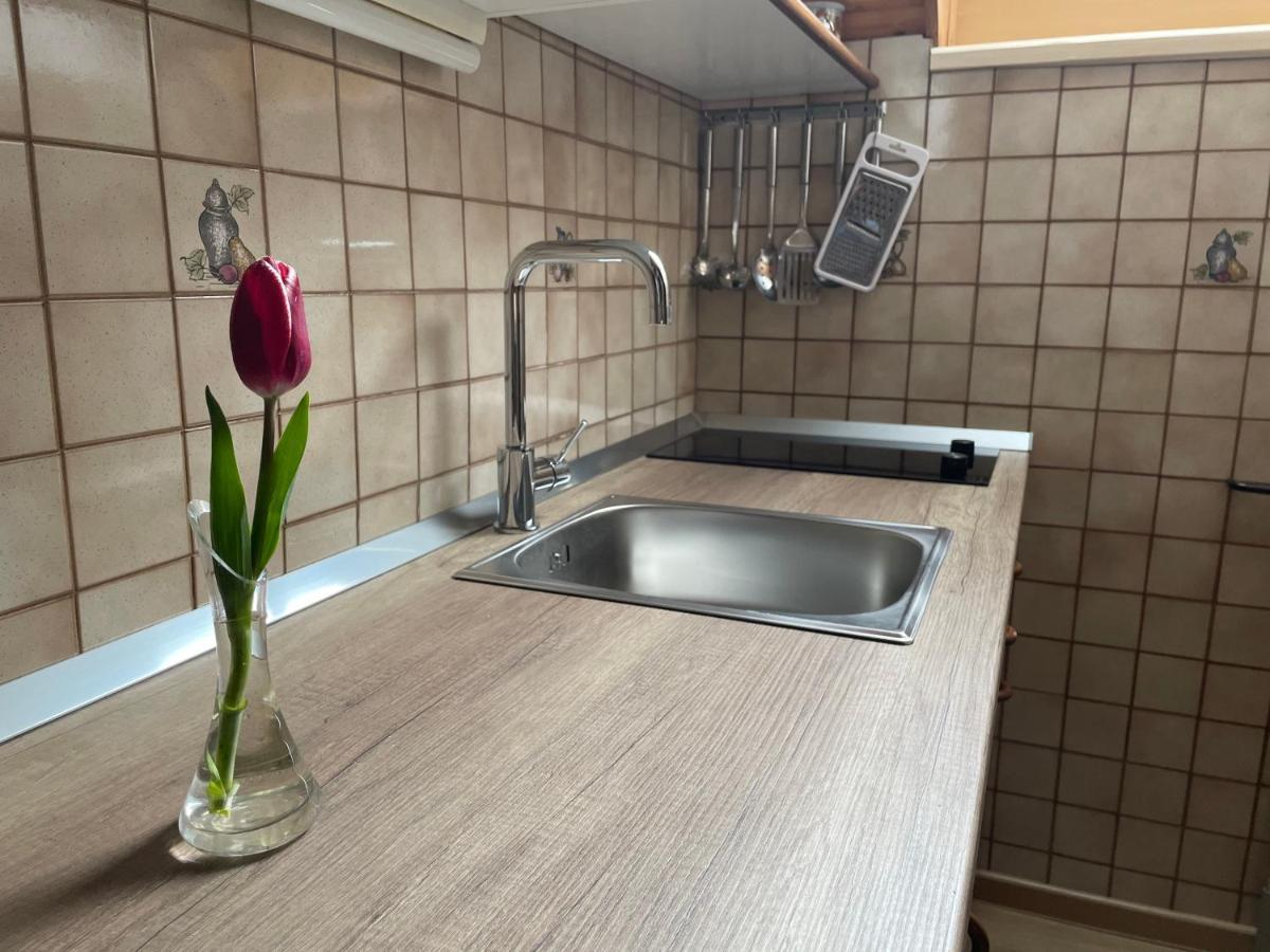 Apartmaji Prezelj Bohinj Εξωτερικό φωτογραφία